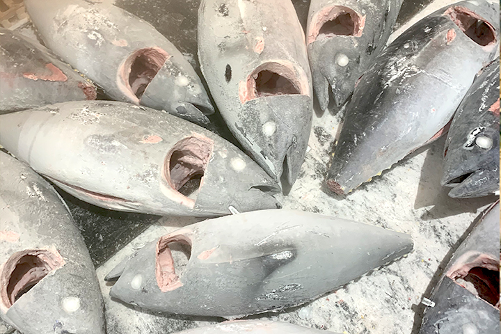 Farmed southern bluefin tuna from Australia